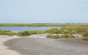 Littoral : l'atout-maître du tourisme français bientôt sous les eaux ? Littoral : l'atout-maître du tourisme français bientôt sous les eaux ?