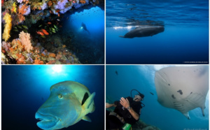 Ultramarina lance un tour du monde "globe plongeurs" de 46 jours Ultramarina lance un tour du monde "globe plongeurs" de 46 jours