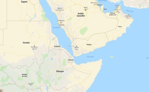 Djibouti : changement dans les procédures du visa Djibouti : changement dans les procédures du visa