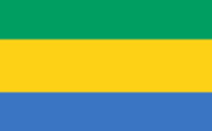 Gabon : le MAE recommande la vigilance dans les lieux publics