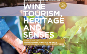 ESC Troyes ouvre un DU &amp; Bachelor, Wine Tourism, Heritage and Senses