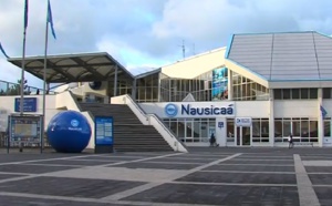 Nausicaa ouvre l'un des plus grands aquarium du monde