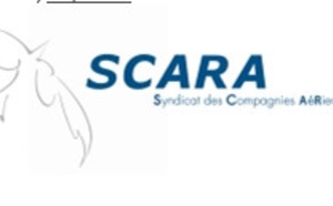 Mayotte pourra continuer d'accueillir des avions gros porteurs Mayotte pourra continuer d'accueillir des avions gros porteurs