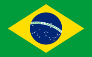 Brésil : le Quai d'Orsay recommande le vaccin contre la fièvre jaune