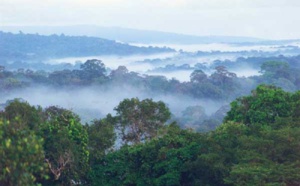 La Guyane engage une vaste campagne de communication