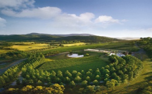 Yarra Valley et Dandenong Ranges : la cave à vin du Victoria