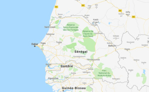 Sénégal fièvre jaune : suspension de la vérification du carnet de vaccination