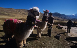 Pérou : +3.3% de visiteurs français en 2009