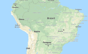 Brésil : plusieurs cas de fièvre jaune recensés