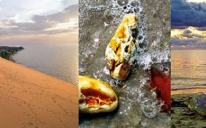 Sur les traces de l’ambre