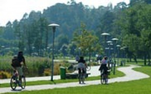 Des activités pour tous les goûts
