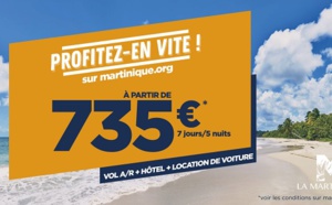 La Martinique : une campagne 100% digitale pour multiplier les ventes