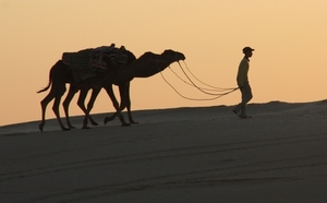 Tunisie :Nous n'aurions pas autant de visiteurs avec une hôtellerie poubelle !