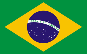 Brésil : des cas de fièvre jaune