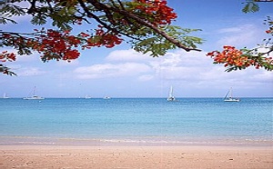 La Martinique passe la barre des 500 000 touristes