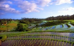 Bali : peu d'annulations vers l'île...