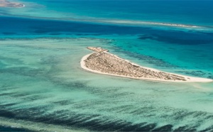 L'Arabie Saoudite délivrera des visas à l'entrée du projet "Red Sea Project"