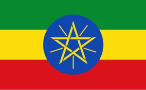 Ethiopie : le e-visa s'ouvre aux voyageurs d'affaires
