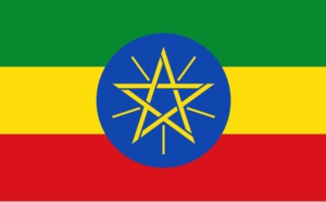 Ethiopie : le e-visa s'ouvre aux voyageurs d'affaires