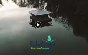 Tourisme durable : Echologia, l'hôtel en mode éco-responsable  (vidéo)