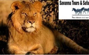 Savanna Tours &amp; Safaris : Programmes &amp; tarifs groupes Afrique du Sud saison 2011 au départ de toute la France
