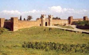 Année royale pour Royal Tours : progression de 63% !