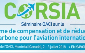 Aérien : l'OACI adopte un mécanisme de compensation carbone  Aérien : l'OACI adopte un mécanisme de compensation carbone