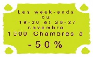 Touraine : les hôteliers affichent moins 50% en novembre