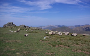 De Biarritz au cœur des Pyrénées, les splendeurs du Pays basque