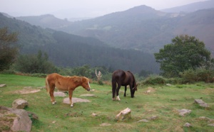 Pays Basque : Sare, un patrimoine remarquable et des coutumes ancestrales