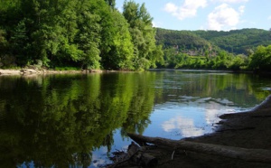 Didier Arino : "2018 sera une bonne année pour les TO et les agences" Didier Arino : "2018 sera une bonne année pour les TO et les agences"