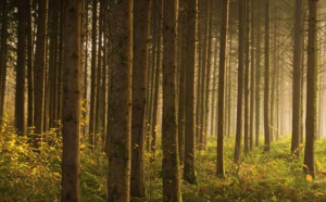 Salaün Holidays candidat aux palmes du tourisme durable 2018