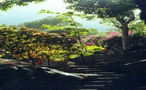 Autremer Voyages fait les yeux doux aux agences Autremer Voyages fait les yeux doux aux agences