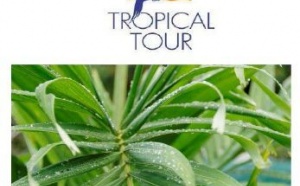 Tropical Tour vous propose cette semaine le circuit découverte « Méli Mélo » de 8  jours / 7 nuits en Guadeloupe à partir de 699 euros par personne.