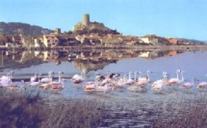 Gruissan : 2èmes Rencontres nationales du Tourisme de Terroir®