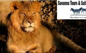 Savanna Tours &amp; Safaris : Programme Afrique du Sud groupes 10 jours 2011 au départ de France et de Belgique
