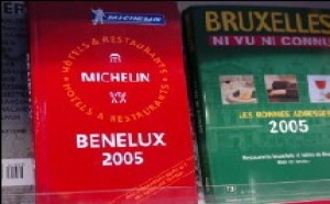 Guide Michelin BENELUX 2006 : La Villa Lorraine se retrouve toute nue
