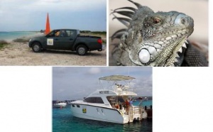 ¡ VAMOS ! s’implante à Bonaire !