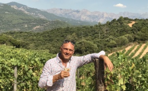 Avec Vino Mundo, Terra Group marie le vin et les voyages