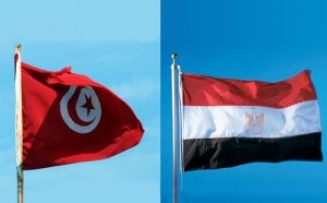 Tunisie, Egypte : un préjudice plus lourd que le nuage volcanique ? Tunisie, Egypte : un préjudice plus lourd que le nuage volcanique ?