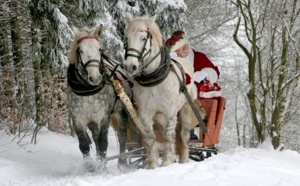 Emploi : Père Noël recherche elfes saisonniers