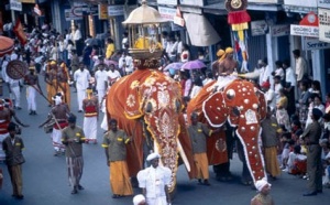 Sri Lanka : nouvelle opération ''Des prix doux pour le printemps''