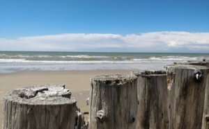 Hôtellerie, éte 2018 : une croissance modérée, mais une croissance quand même Hôtellerie, éte 2018 : une croissance modérée, mais une croissance quand même