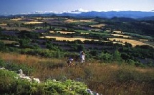 3 CDT et 1 CRT s'unissent et lancent les ''Formules France'' 3 CDT et 1 CRT s'unissent et lancent les ''Formules France''