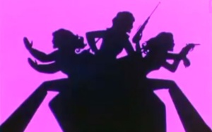 La case de l’Oncle Dom : Air France et ses drôles de dames ! La case de l’Oncle Dom : Air France et ses drôles de dames !