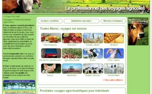 D-Tour lance 6 sites Internet