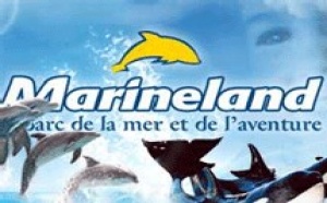 Marineland à Antibes : 2 groupes espagnols rejoignent la Cie des Alpes