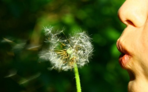 La case de l’Oncle Dom : Professionnels du tourisme... à vos souhaits ! La case de l’Oncle Dom : Professionnels du tourisme... à vos souhaits !