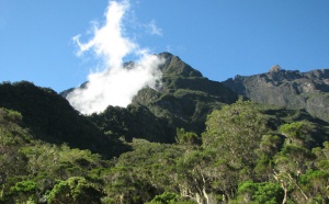 La Réunion : « Nous sommes une terre de métissage... nous avons appris à vivre ensemble ! »