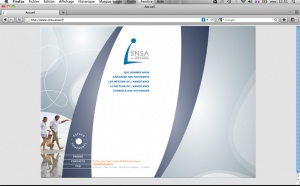 SNSA : l'assistance voyage chute de 11 % SNSA : l'assistance voyage chute de 11 %